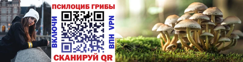 Псилоцибиновые грибы мицелий KRAKEN ТОР Мичуринск