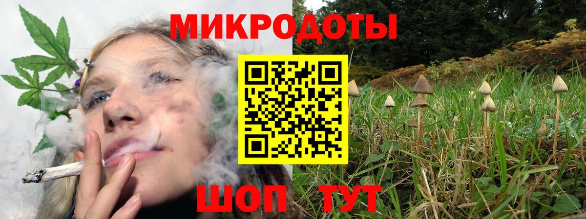 Галлюциногенные грибы мухоморы  Псилоцибиновые грибы ЛСД  Вход с VPN  как найти закладки  Мичуринск 